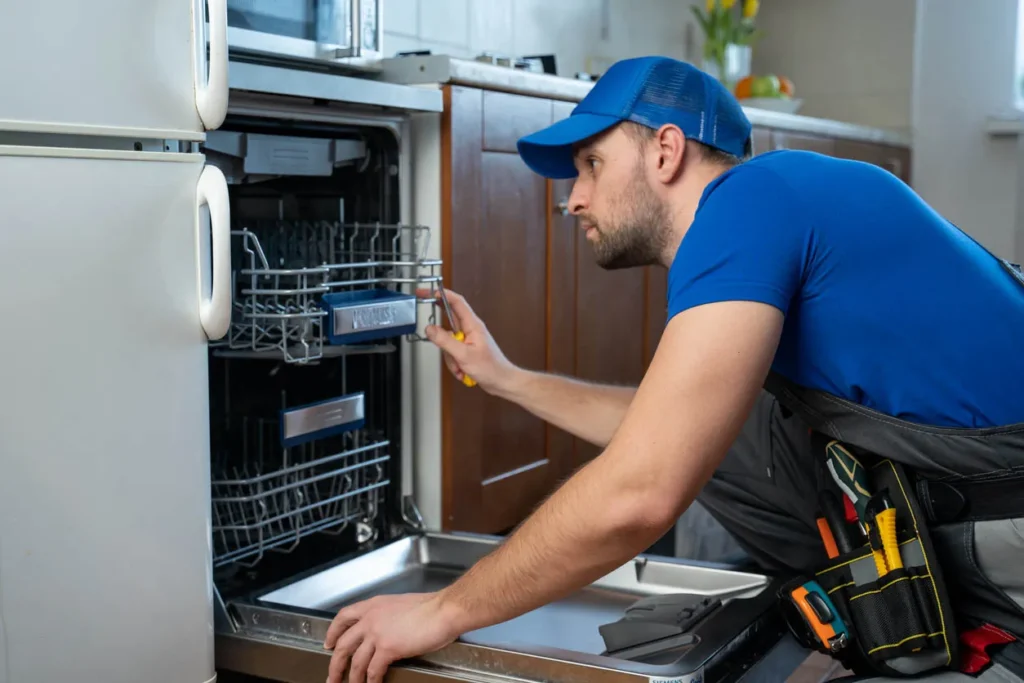 Dishwasher Smells Bad